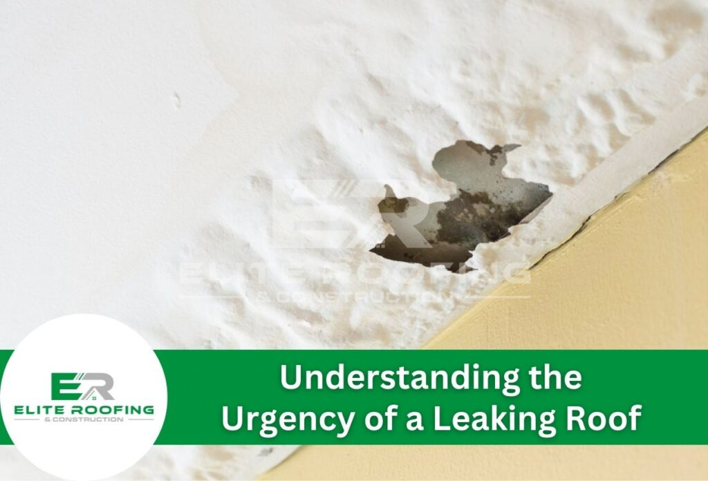 Understanding the Urgency of a Leaking Roof