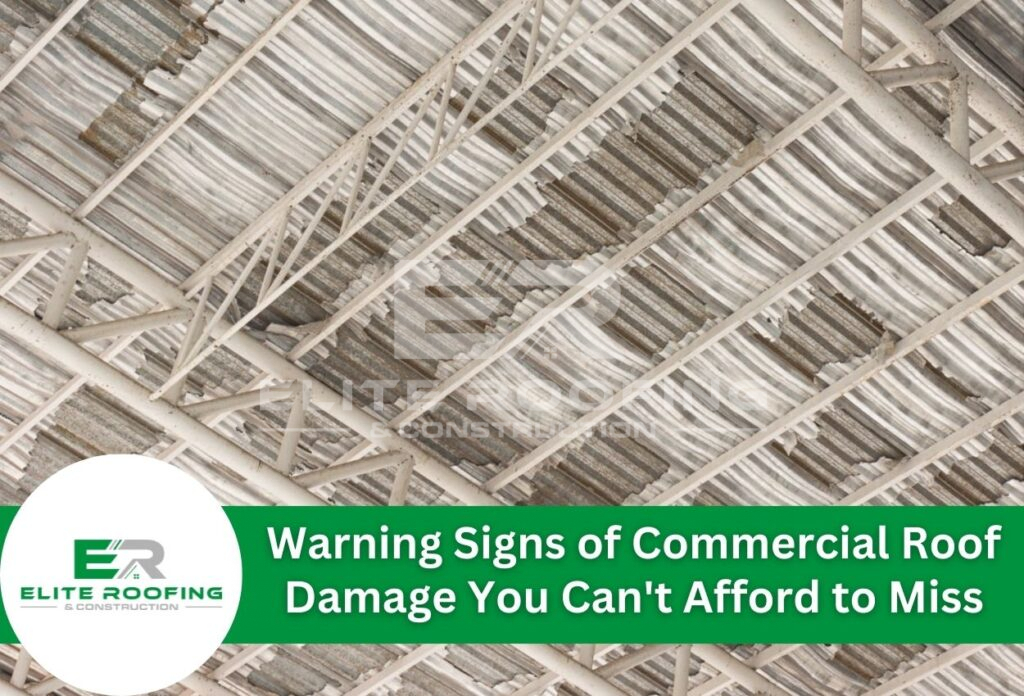 Warning Signs of Commercial Roof Damage You Can't Afford to Miss