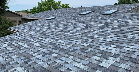 Asphalt shingle roof with skylights and surrounding trees